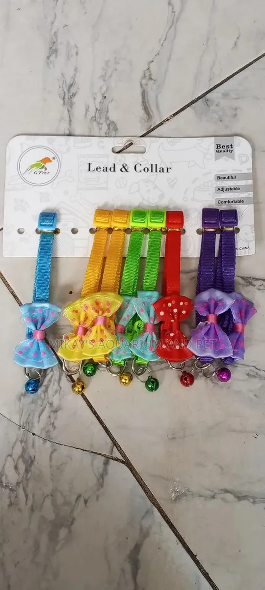 Collar for Female Puppies · Photo 1