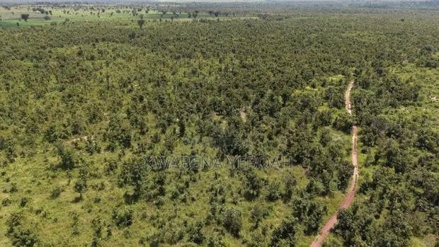 Prime Farmland for Sale – Dromankuma, Bono East · Photo 1