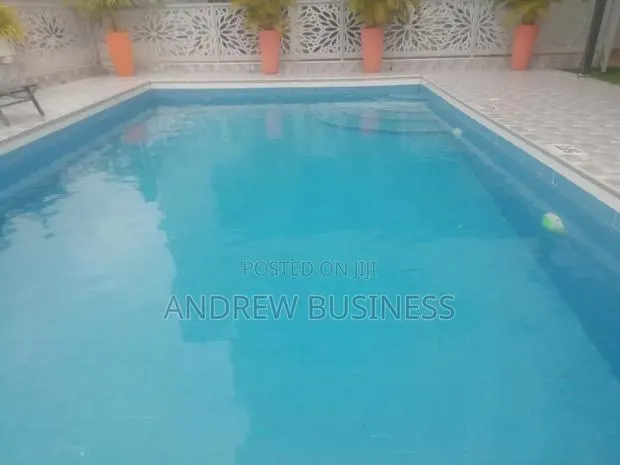 Swimming Pool Cleaning Service · Photo 1