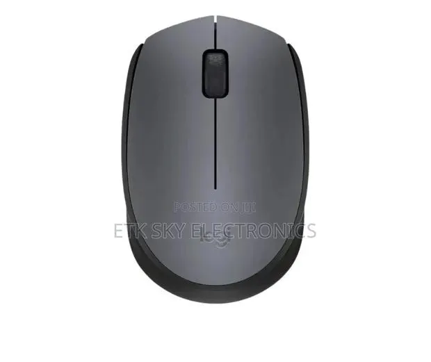 Logitech Wireless Mouse M171 · Photo 1