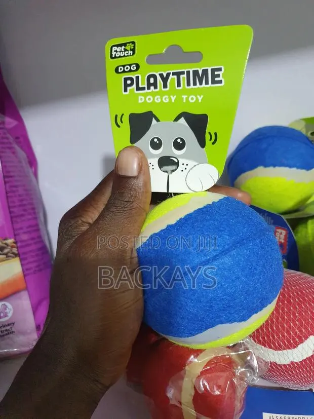 Playing Balls for All Dog Types · Photo 1