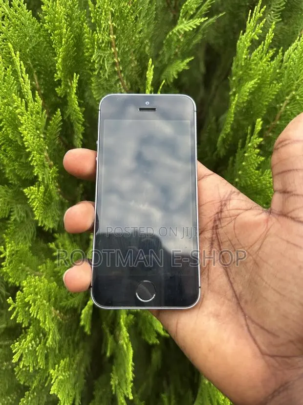 Apple iPhone 5s 16 GB Silver · Photo 1