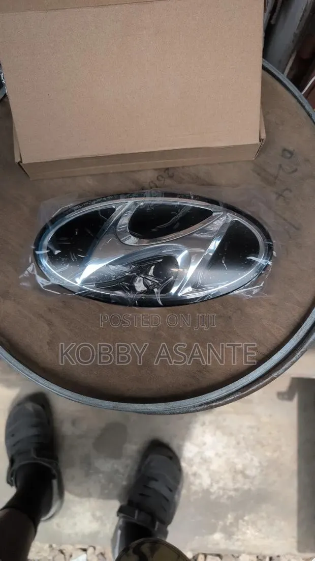 Sonata 2019 Front Emblem · Photo 1