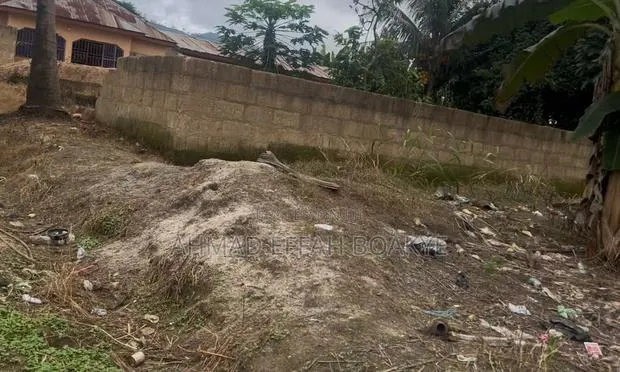 A Half Plot 50/50 at Nkawkaw Kumasi Road · Photo 1