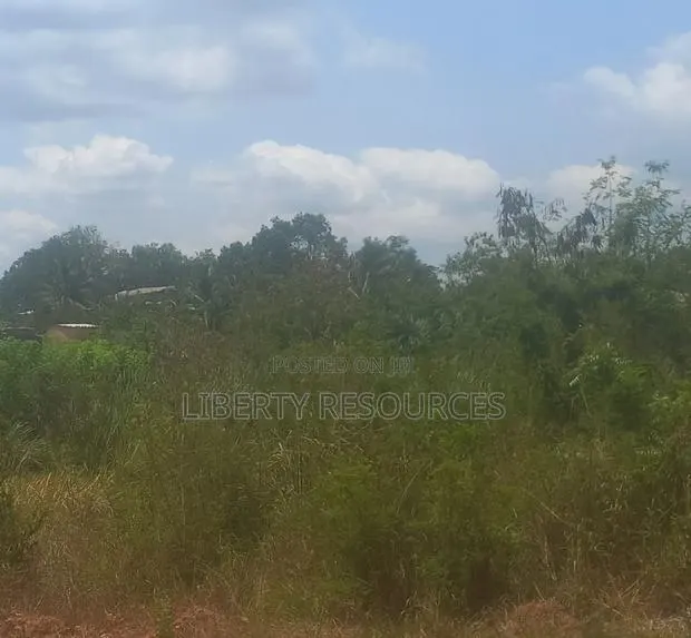 Mining Land Available for Joint Venture · Photo 1