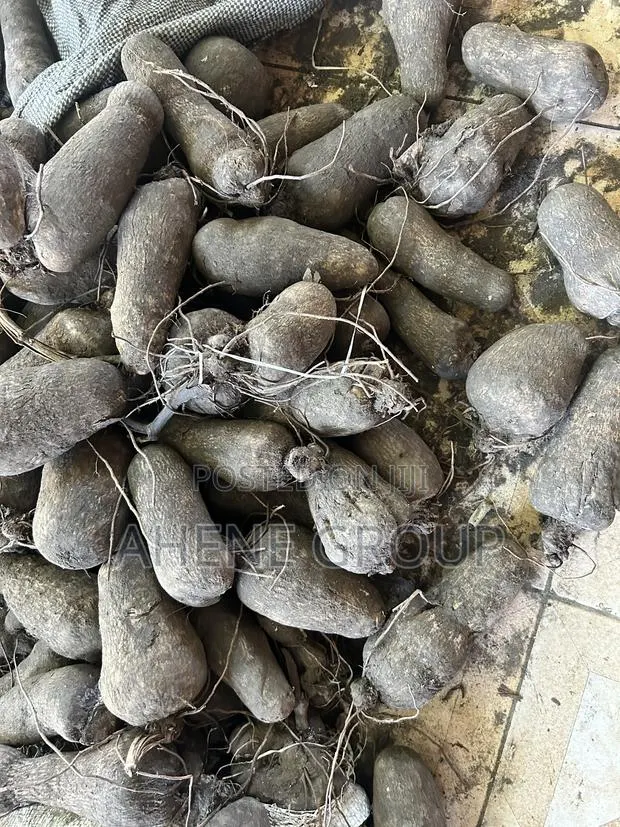 Pona Yam Heads (Mpoh) · Photo 1