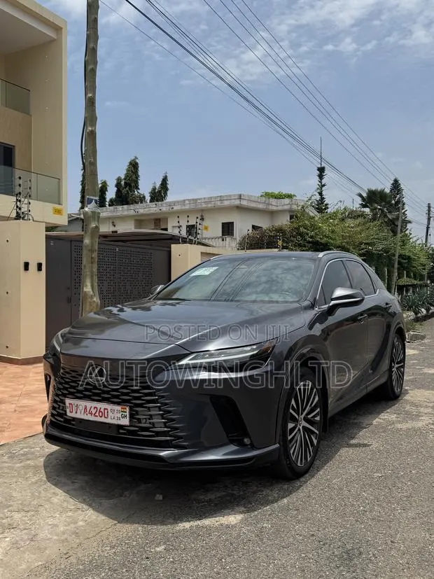 Lexus RX 350 AWD 2024 Gray · Photo 1