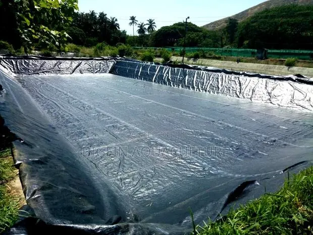 Tilapia and Catfish Pond and Cage Construction · Photo 1