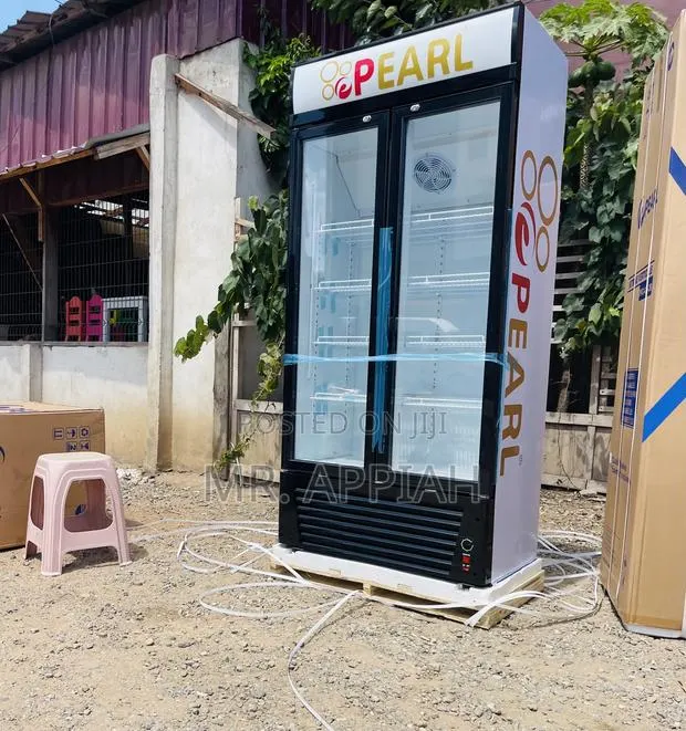 Get Unique Pearl PVC 622 Electric Beverage Cooler. · Photo 1