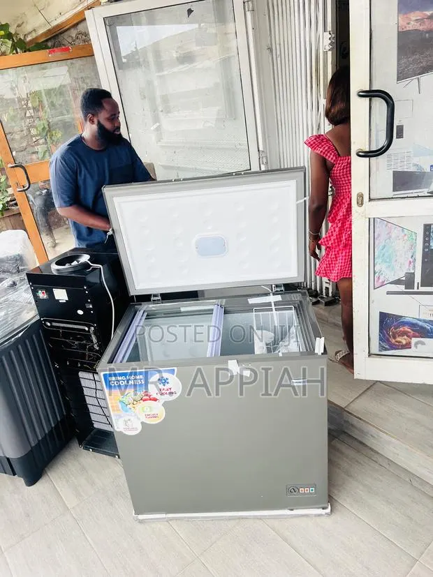 Shop Premium Nasco Nas230sk Single Door Chest Freezer(Gray) · Photo 1