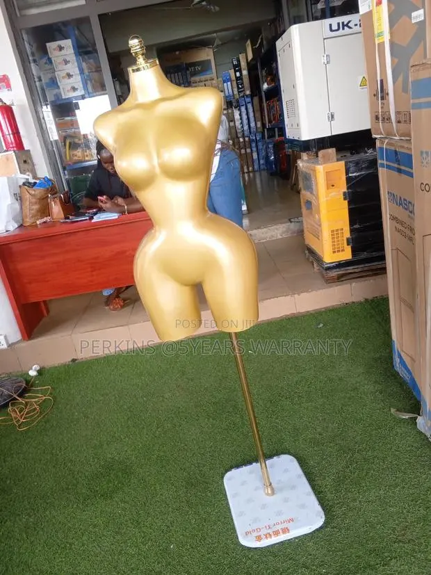 Premium Female Torso Mannequin for Clothing Display · Photo 1