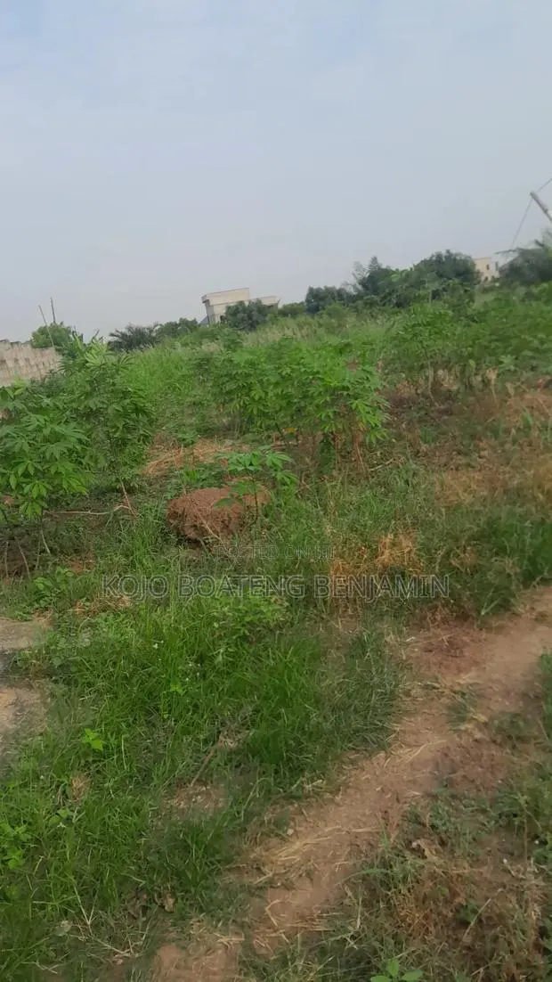 Plots of Land for Sale · Photo 3