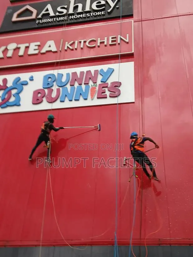 Limited Facade Cleaning Service · Photo 1