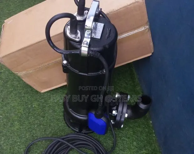 Quality Brand New Engine With One Year Warranty Leo Pump. · Photo 1