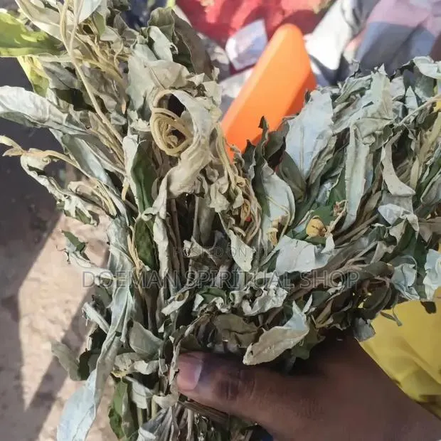Anti Witchcraft Leave · Photo 1