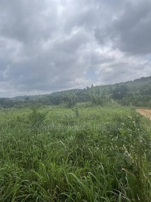 Land for Sale · Photo 1