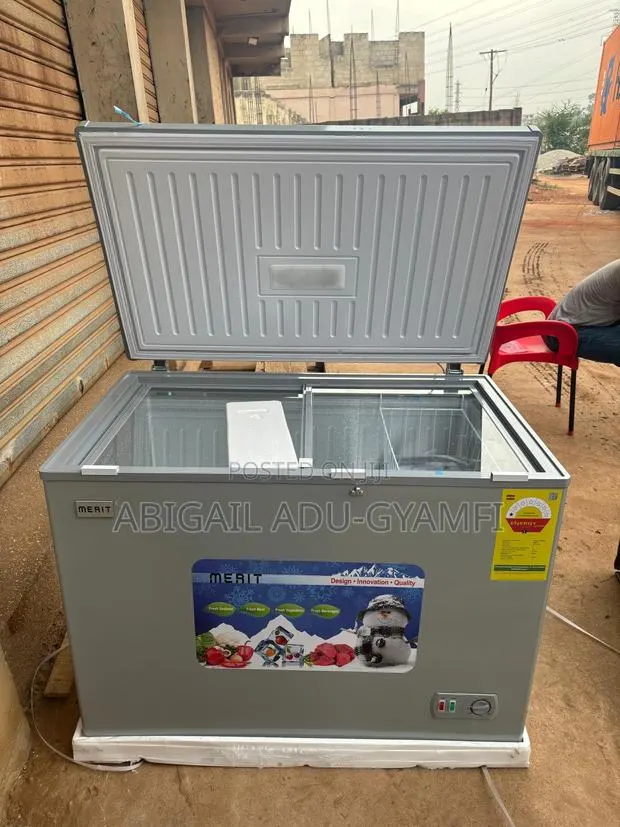 Chest Freezer 305L · Photo 1