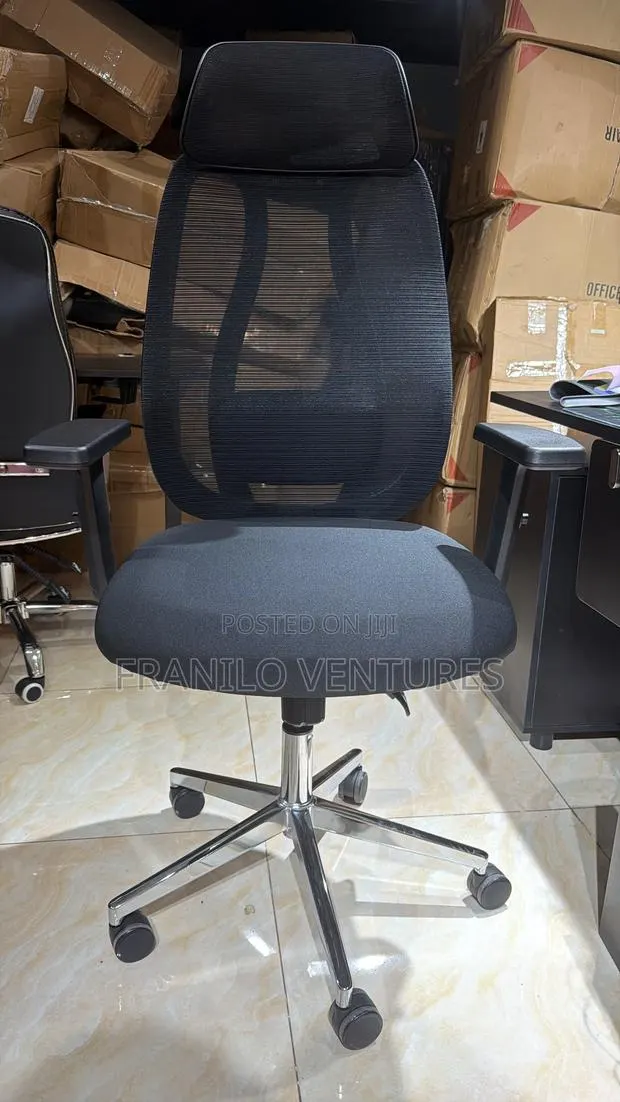 Ergonomic Mesh Office Chair With Lumbar Adjustment · Photo 1