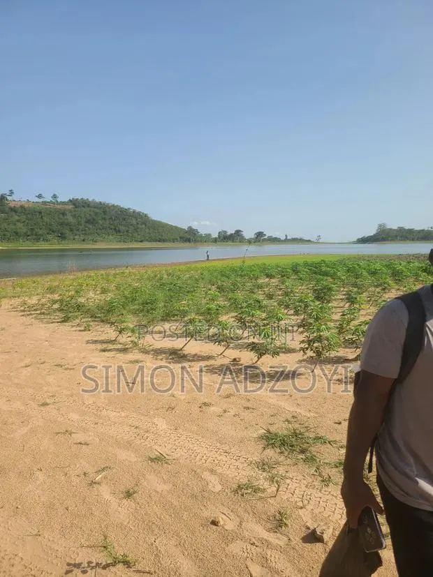 1000 Acres Volta River Front for Rent · Photo 2