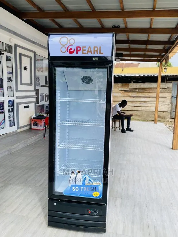 High Quality Pearl PVC37 Single Door Fridge on Display(248L) · Photo 1