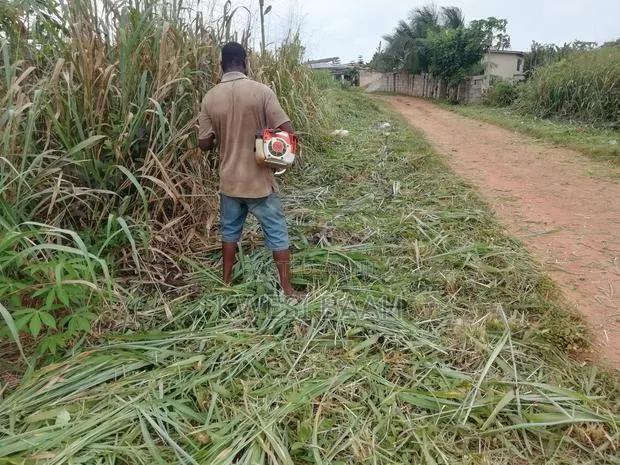 Weeding, Gutter Cleaning, Tree Trimming and Pruning · Photo 1