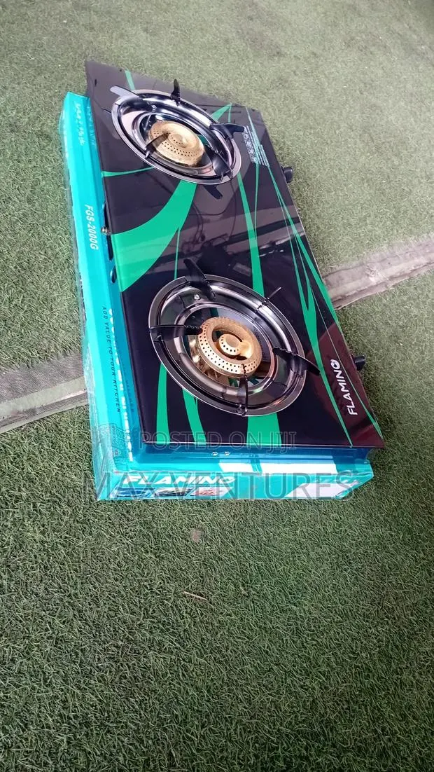 Flamino 2 Burner Gas Stove – Easy Convenient Cooking · Photo 1