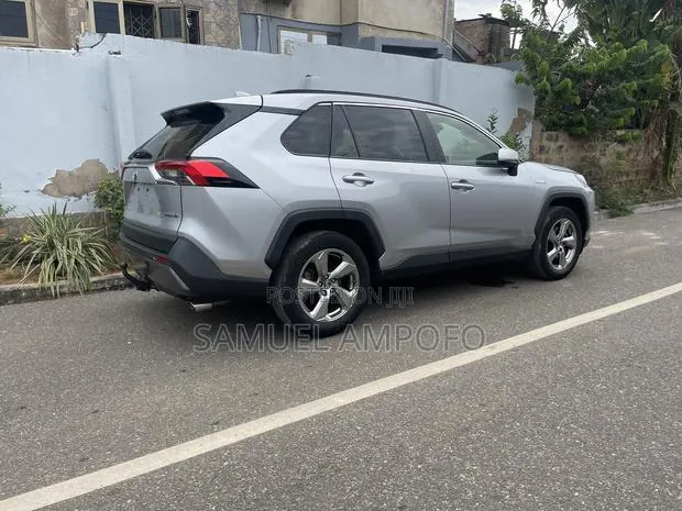 Toyota RAV4 XLE AWD 2019 Silver · Photo 1