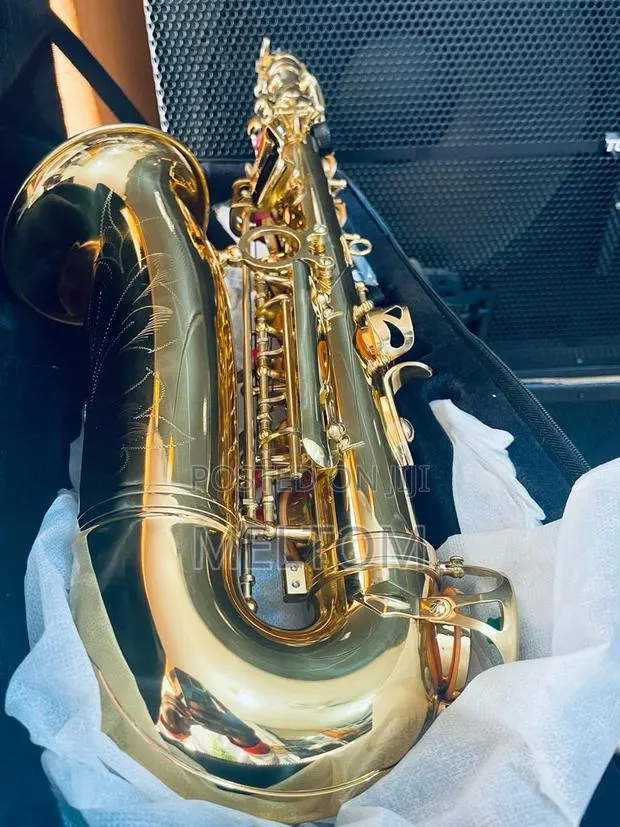 Premier England Alto Saxophone · Photo 1