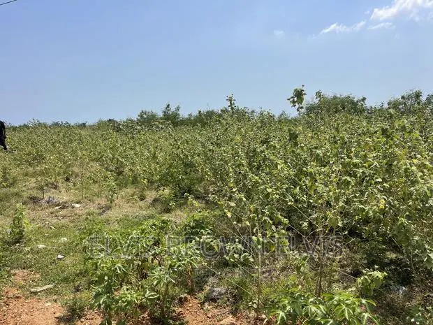 Xmas Promotion for Lands for Sale at West Trasacco · Photo 1