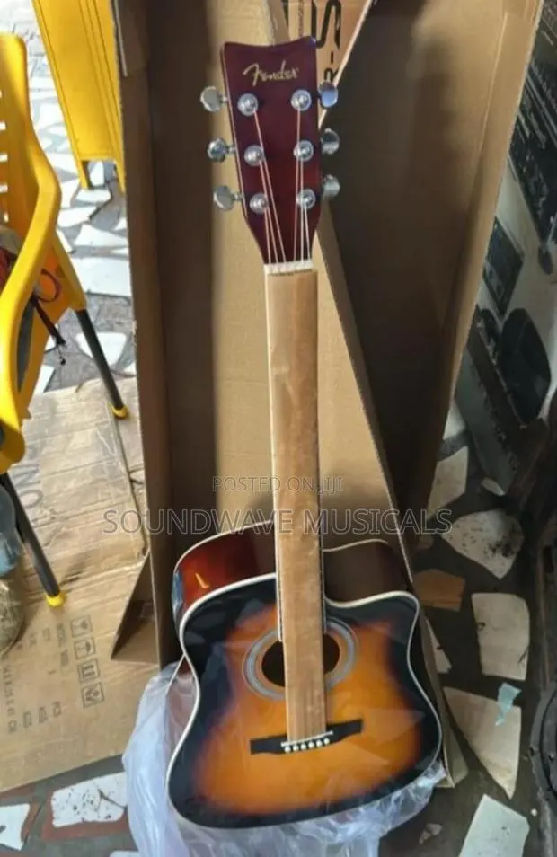 Fender Semi Acoustic · Photo 1