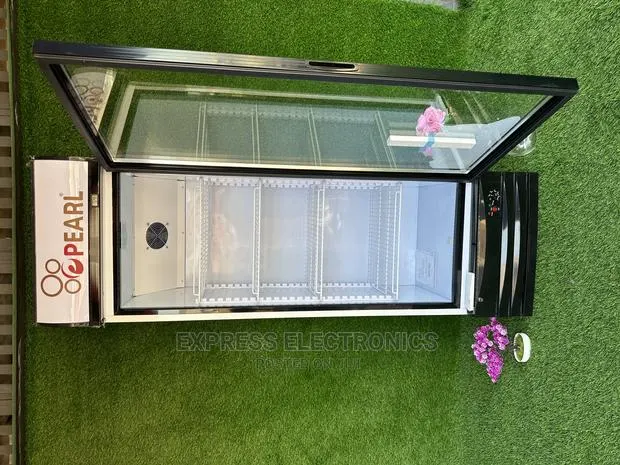 PVC46 318 Litres Frost Free Led Light Pearl Display Fridge · Photo 1