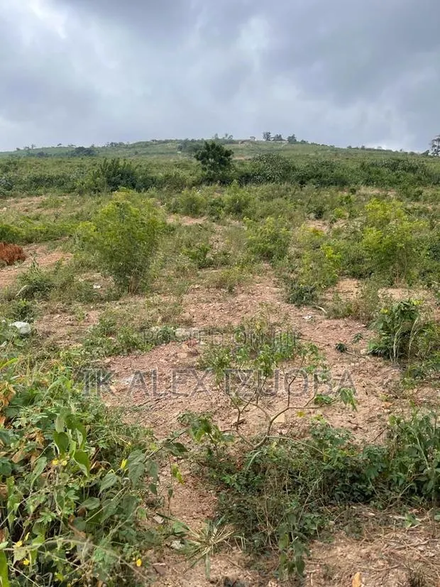 4 Plots of Title Land for Sale at Oyarifa · Photo 1