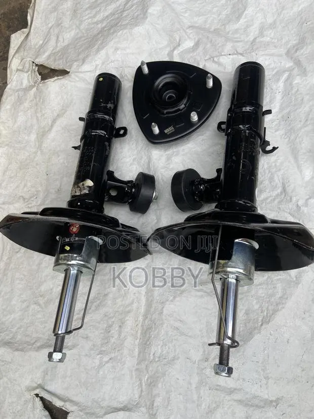 Honda Accord 2012,2013,2014,2015,2016 Front Shock Absorbers · Photo 1