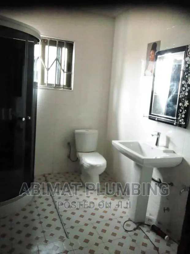 Professional Plumber (Certified · Photo 8