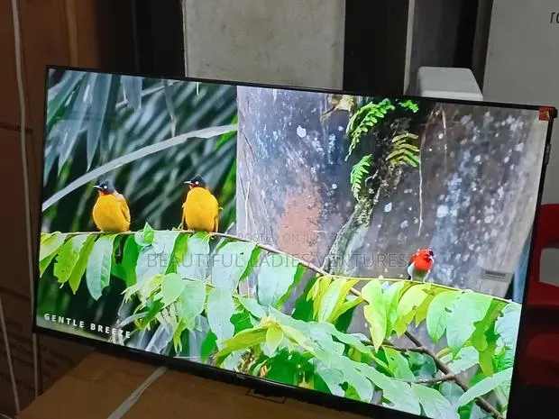 TCL 43-Inch Digital Tv – Stunning Picture Sound · Photo 1