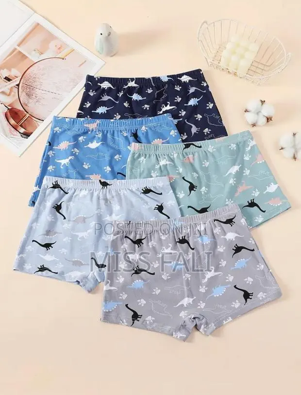 5in1 Boxer Underwear for Boys. 8-9y. · Photo 1
