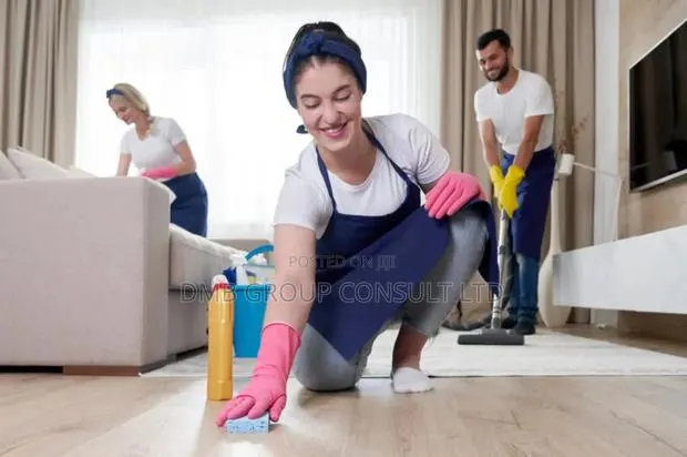 Professional Cleaners 4you · Photo 1
