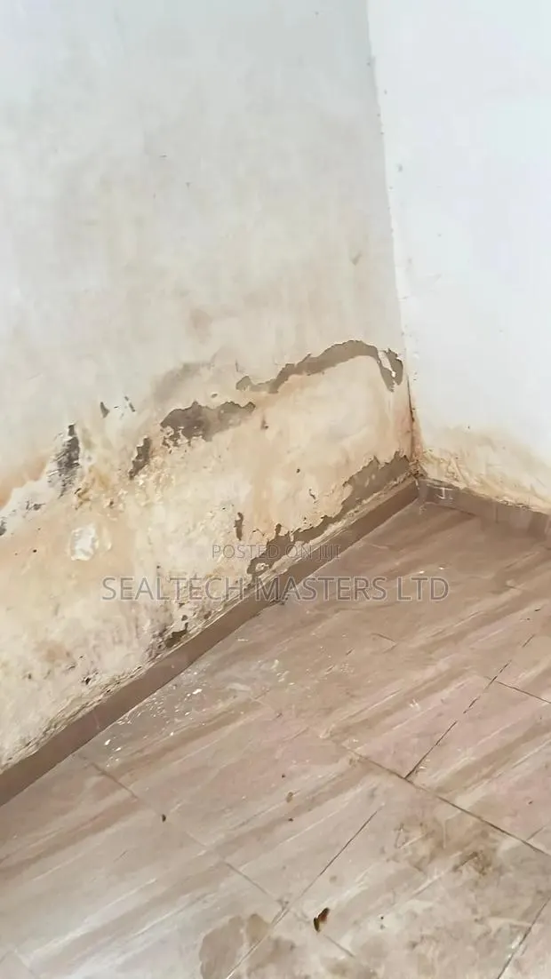 Moisture Damage Repairs(Dampness/Wet Walls) · Photo 1