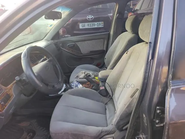 Hyundai Elantra 2004 Gray · Photo 1