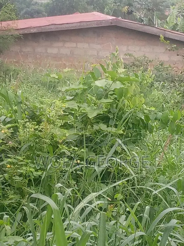Land for Sale · Photo 1