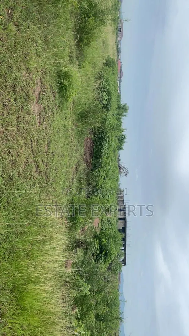 A Registered Land With Land Title Certificate Located in Ayikuma. · Photo 1