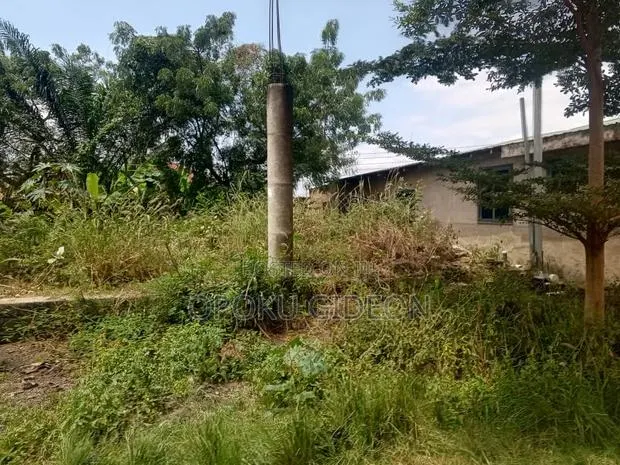 Half Plot of Land for Sale at Olebu Canada · Photo 1