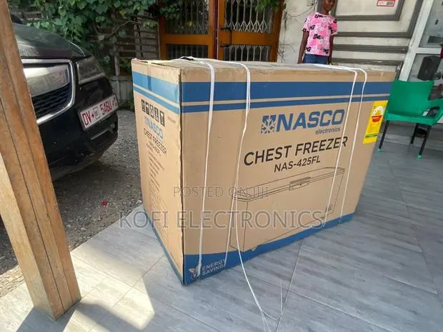 Nasco 316l Efficient Chest Freezer for Bulk Storage · Photo 1
