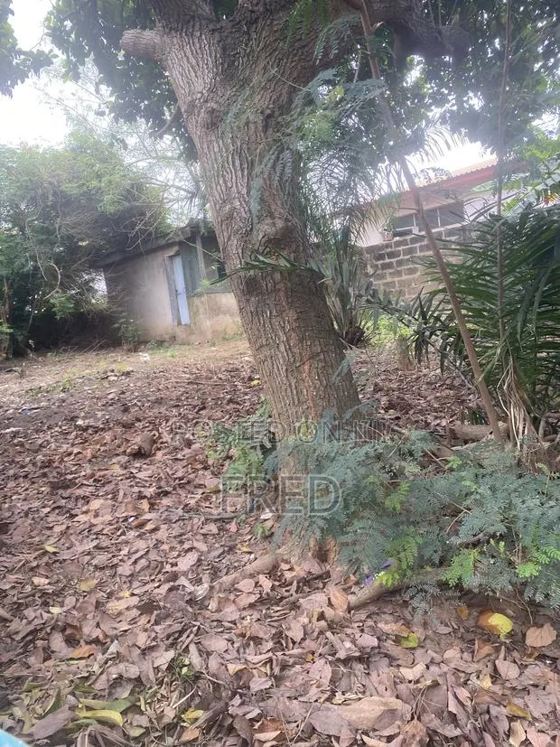 Land at Ashongman · Photo 1