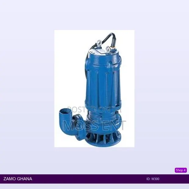 Sewage Water Pump 4.0hp Cast Iron - W300 · Photo 1