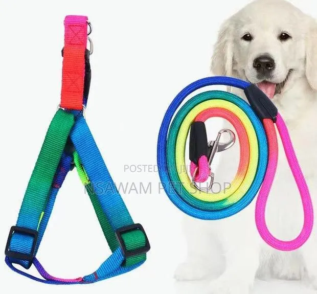 Rainbow Round Leash Harness Set · Photo 1