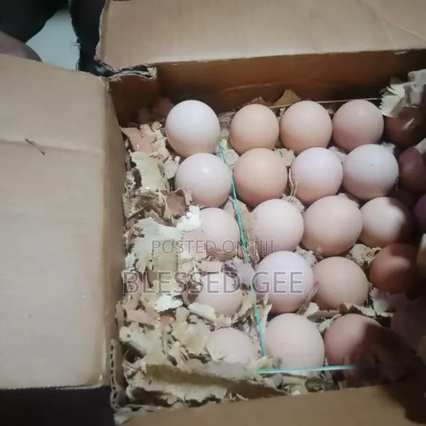 Sasso Fertile Eggs · Photo 1