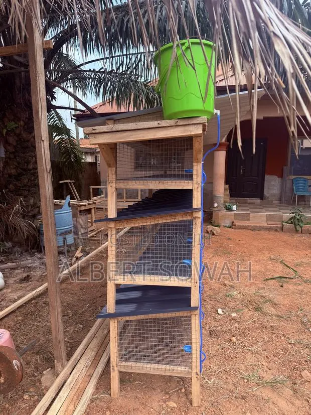 15 Rooms Modern Wooden Rabbit and Grasscutter Cage · Photo 3