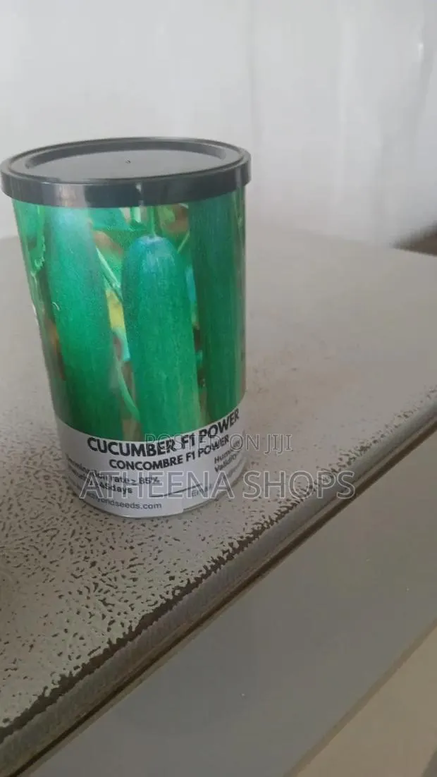 F1 Big Cucumber Seeds (50 Grams) · Photo 1