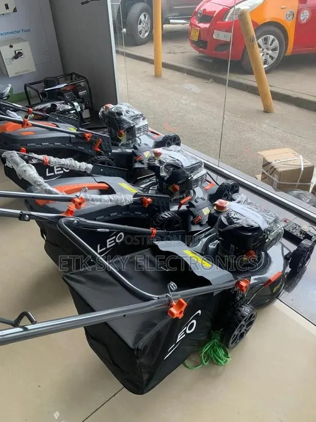 Leo 5.5hp Lawn Mower · Photo 1